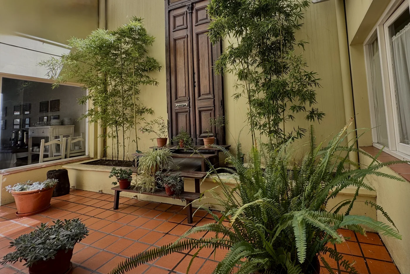 Patio interior con vegetación y espacios de descanso